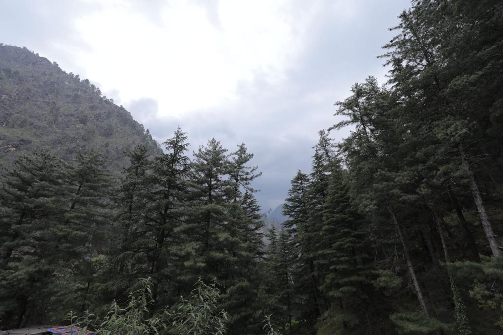 Shangri-La Rooms & Restaurant Kasol Exterior photo